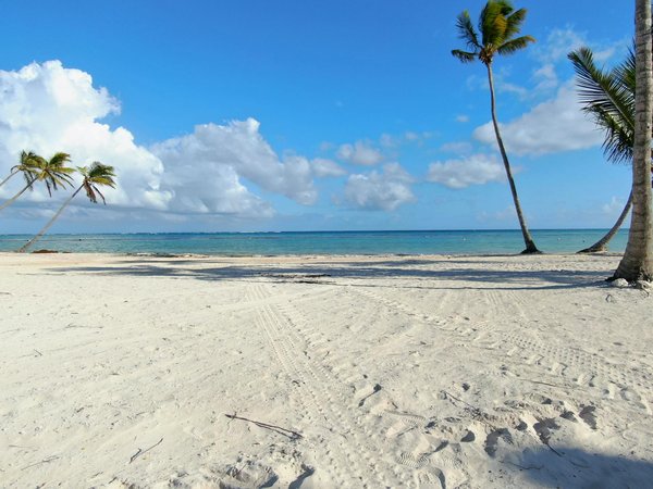 Quels sont les meilleurs conseils pour une croisière de plusieurs jours dans les îles Galápagos : itinéraires et équipements ?